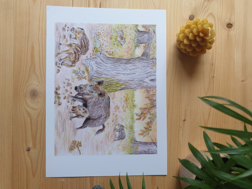 Print: Lesní ilustrace- Divočáci — foto 2