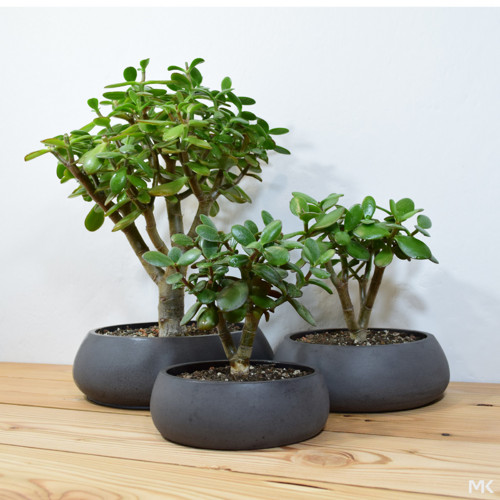 Květináč/obal BONSAI S — foto 3