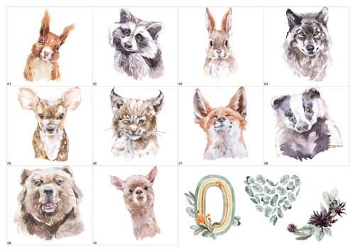 Zvířátka 14 Les — foto 4