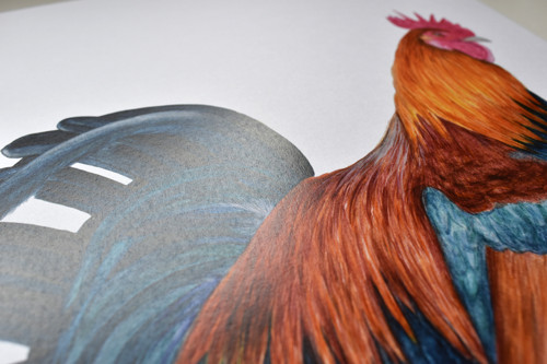 "Pan Kohout" art print — foto 3