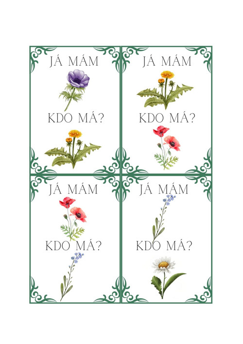 Já mám, kdo má? Květiny — foto 4