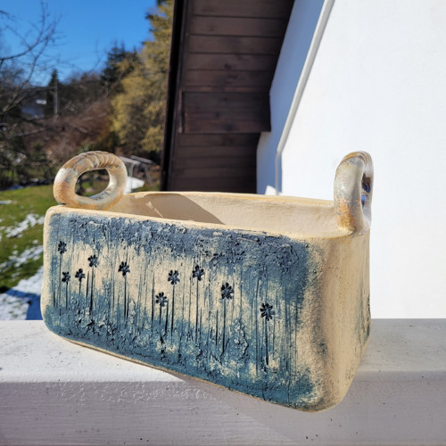 Truhlík pomněnkový — foto 3