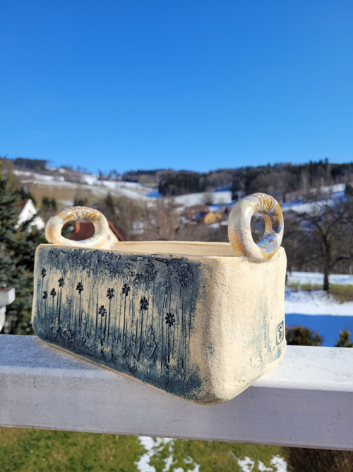 Truhlík pomněnkový — foto 4