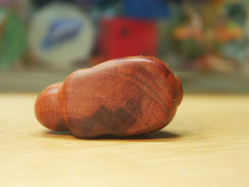Pod švěstkou ušáček — foto 5