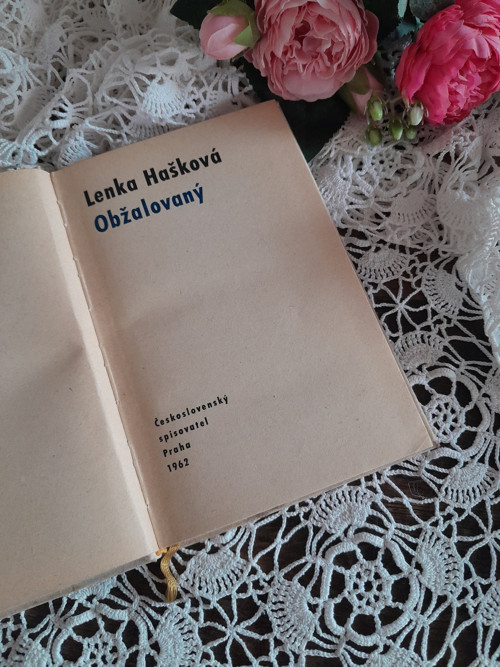 Obžalovaný..... Lenka Hašková — foto 2