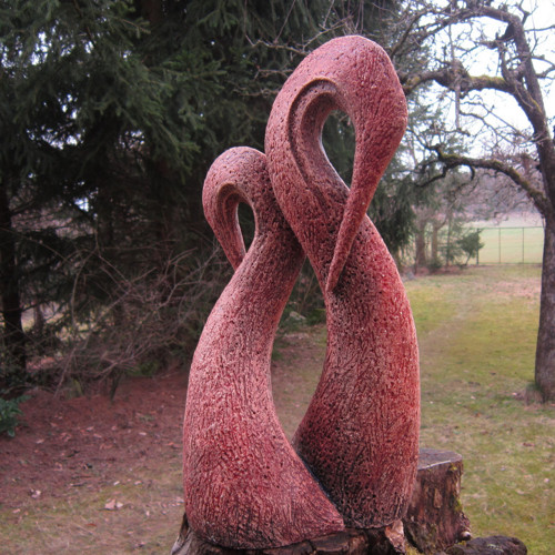 Pelikáni — foto 6