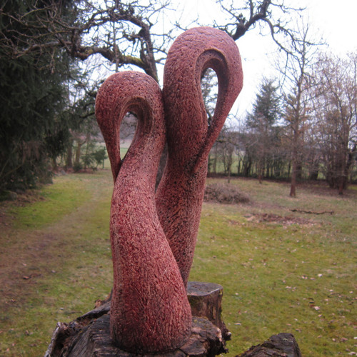 Pelikáni — foto 5