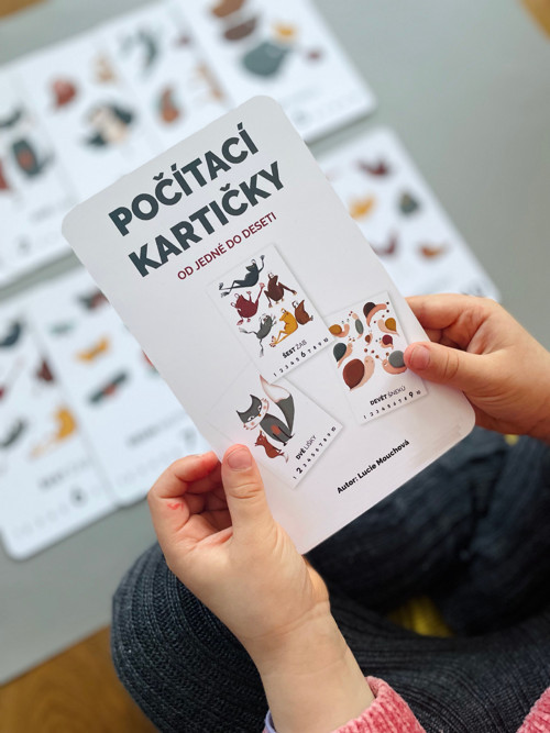 Počítací kartičky pro děti — foto 5