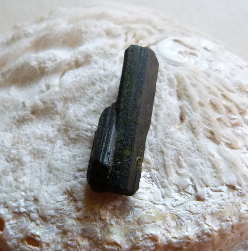 Epidot krystal - 3,3 cm — foto 6