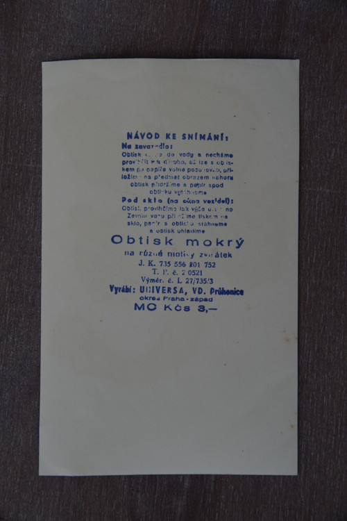 Štír - vodový obtisk — foto 2