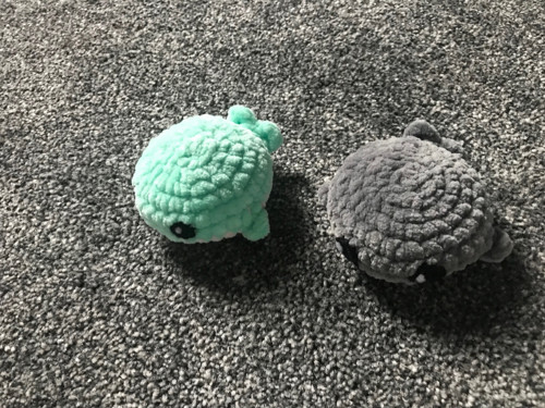 Mini RYBA - pistáciová — foto 2