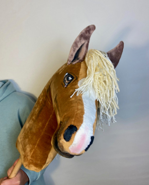 Velšký pony - Hobby horse — foto 4