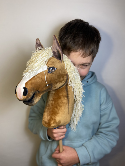 Velšký pony - Hobby horse — foto 5