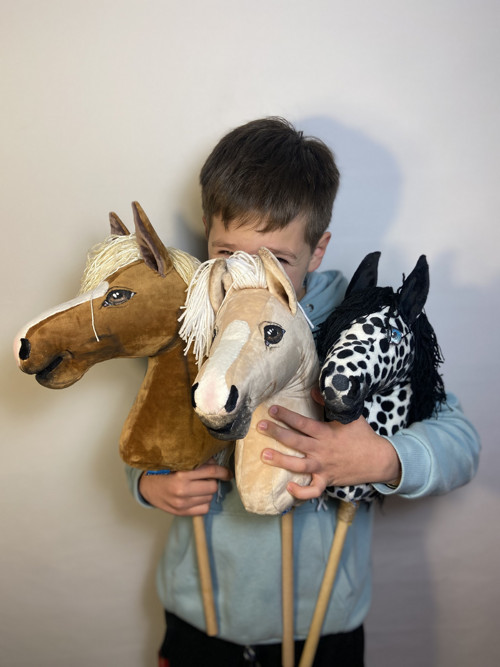 Velšký pony - Hobby horse — foto 6