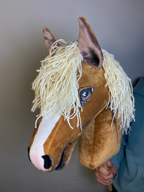 Velšký pony - Hobby horse — foto 2