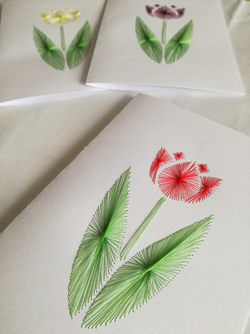 Jarní přání Tulipán — foto 2