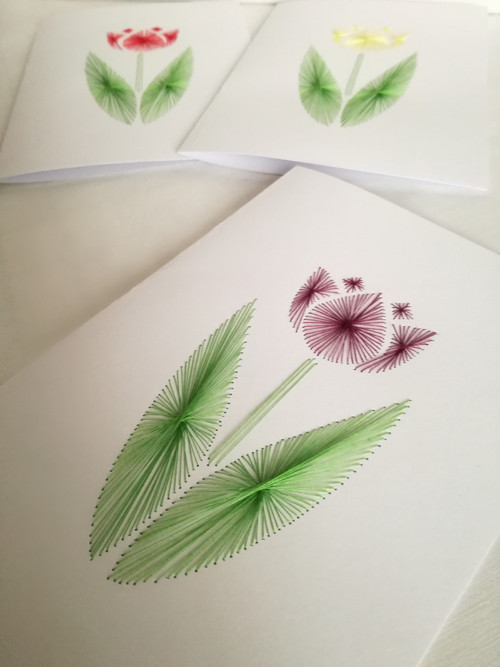 Jarní přání Tulipán — foto 2
