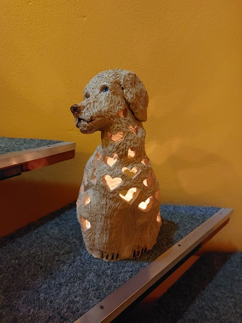 Zamilovaný pejsek — foto 2