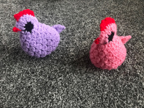 SLEPIČÍ ÚLET - slepička růžová — foto 5