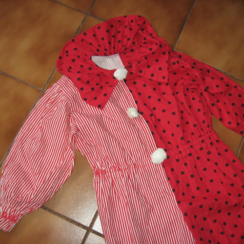 Šašek 16909 P37 — foto 2