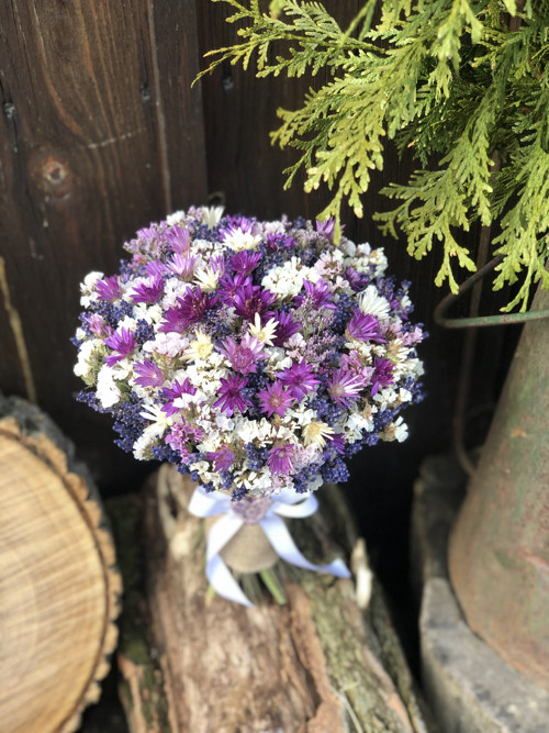 Jemná… velká — foto 3