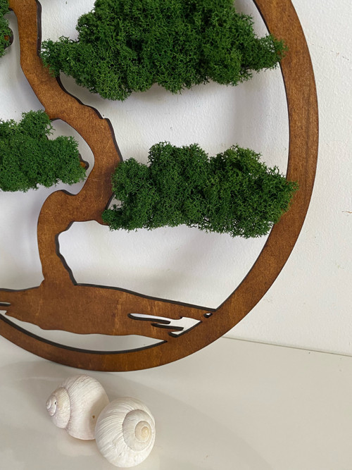 Mechová dekorace - bonsai pr. 40cm — foto 3