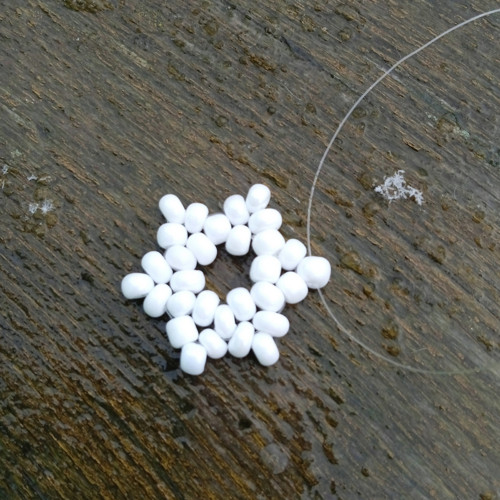 Bílé hvězdičky — foto 2