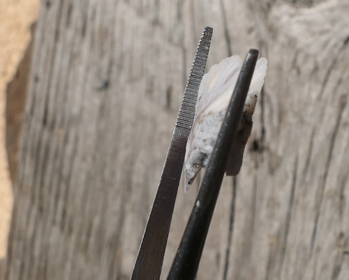 Surový opál dendritický (29 mm) J9179 — foto 2