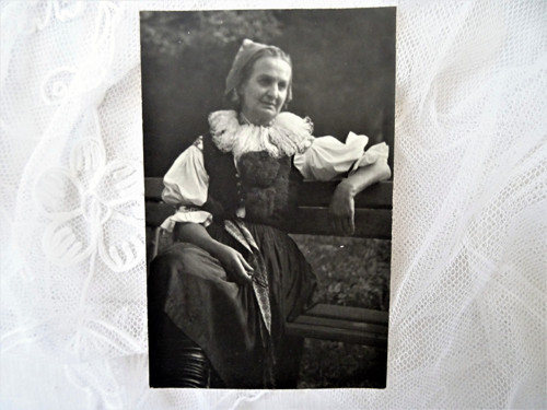 Roska - fotografie — foto 2