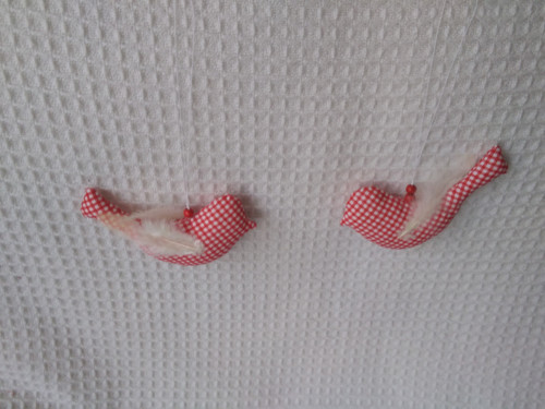 Ptáčci červenobílí — foto 2