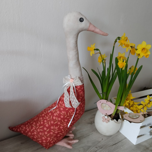 Husička větší — foto 5
