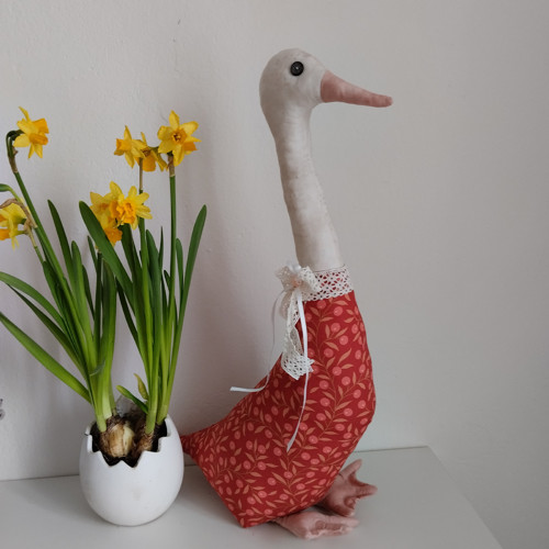 Husička větší — foto 4