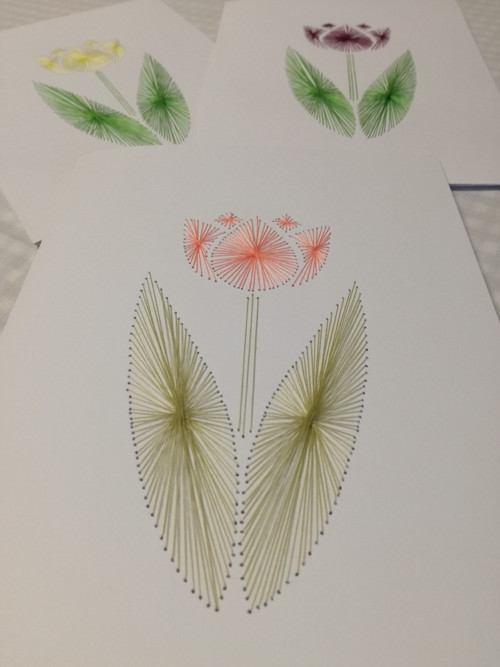 Jarní přání Tulipán — foto 2