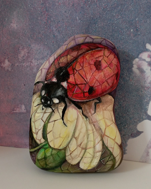 Ladybug — foto 3