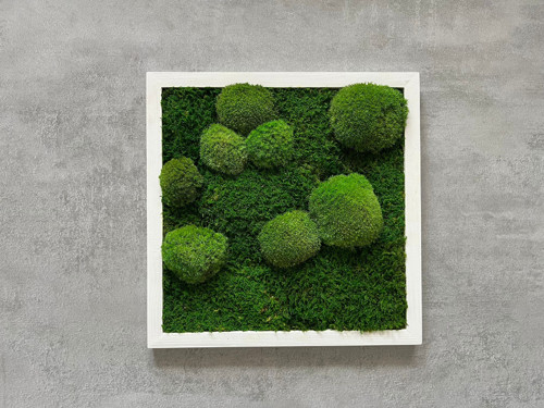 Mechový Obraz 35X35 — foto 2
