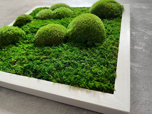 Mechový Obraz 35X35 — foto 4