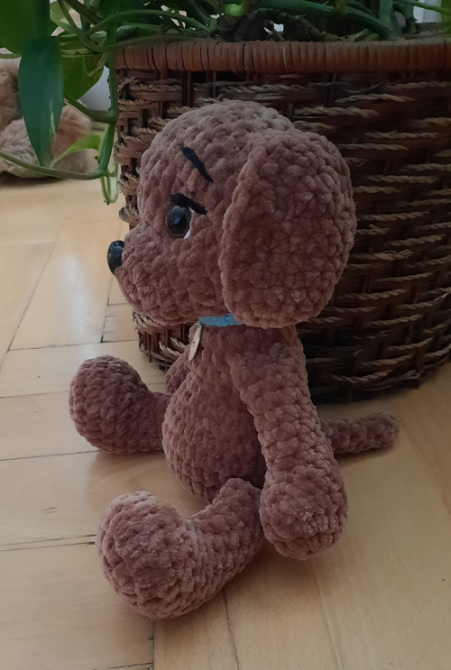 Hnědý pejsek — foto 4