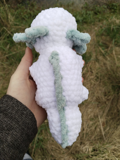 Axolotl — foto 2