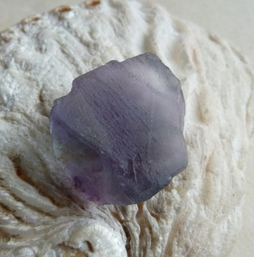 Fluorit surový - 3,1cm — foto 6