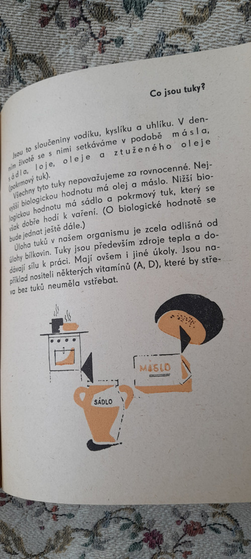 Slabikář správné výživy — foto 3