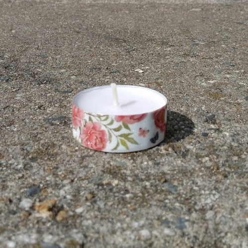 Pivoňky — foto 4