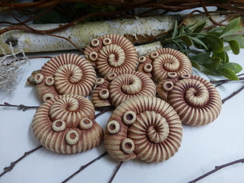 Ulitka k dekoraci — foto 2