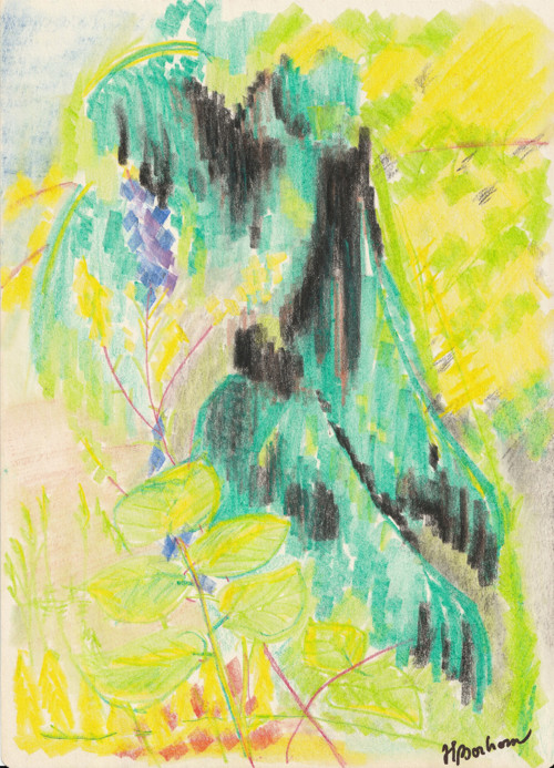 Botanická zahrada — foto 2