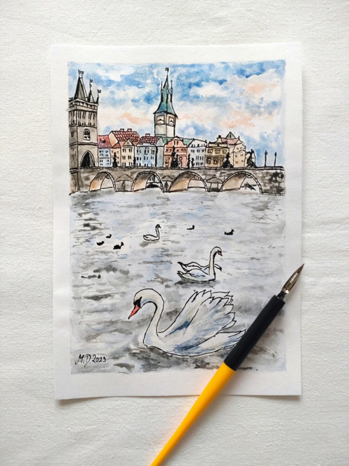 Labuť — foto 2