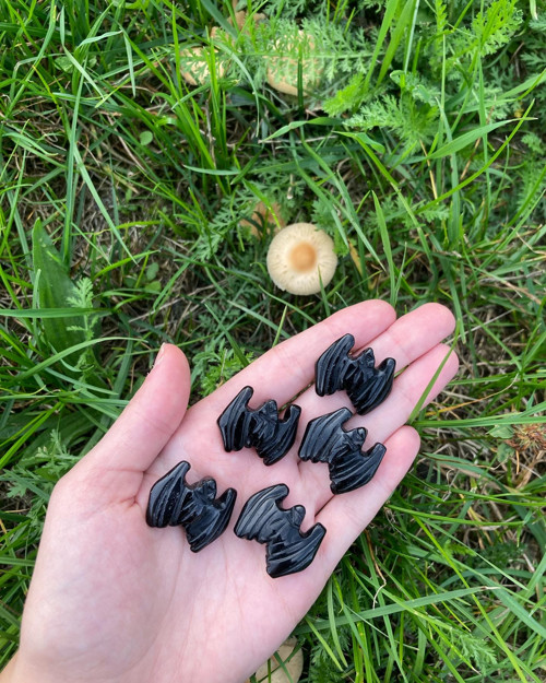 Netopýři z černého obsidianu — foto 2