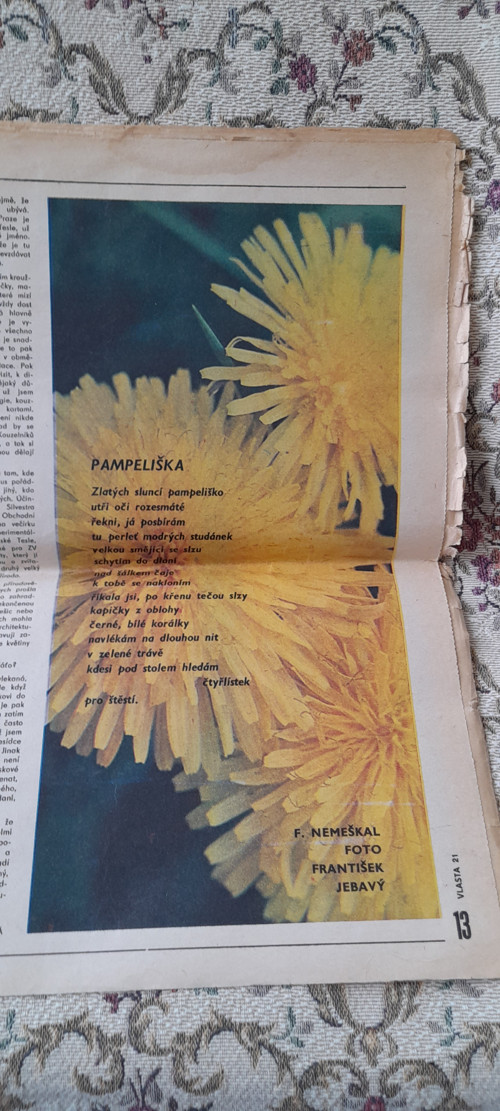 Vlasta č. 21 — foto 3