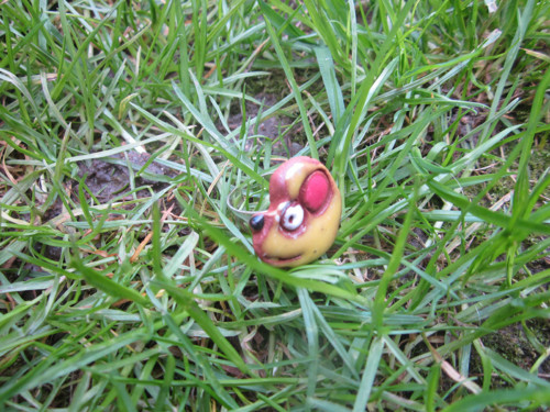 Prstýnek pes — foto 2