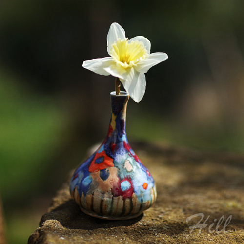 Vázička luční — foto 3