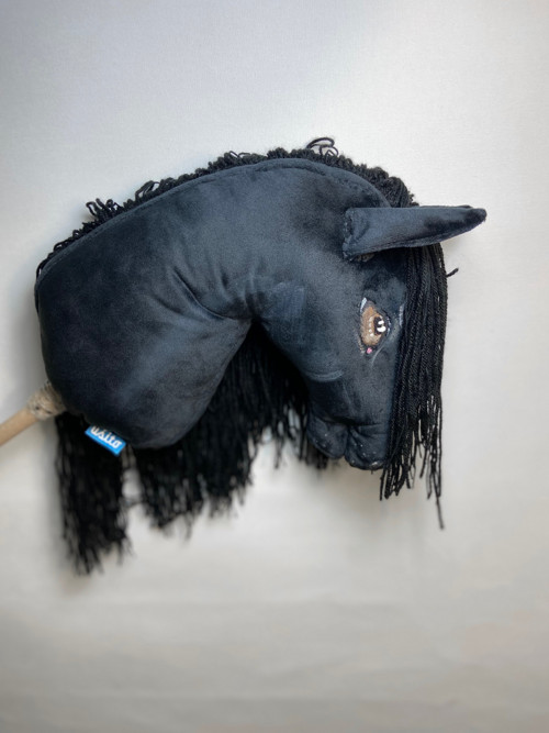 Velšský pony typu Cob - na přání — foto 4