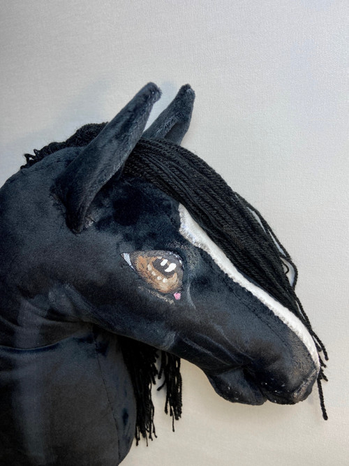 Velšský pony typu Cob - na přání — foto 5